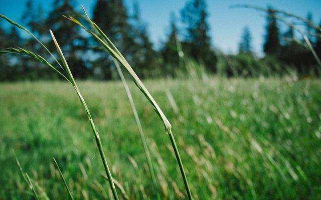 Child-Friendly Services