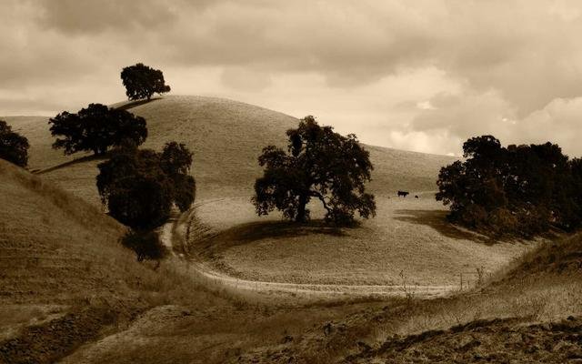 Family Meals Included