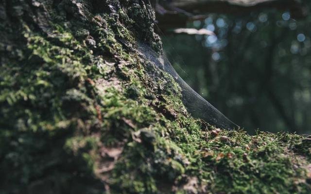 Last 10 Nights of Ramadan